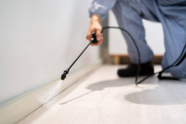 Licensed Termite Control service in Riverton, IL - Show Me Pest Control