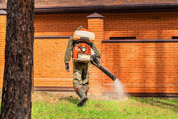 Top rated local Mosquito Control specialists in Riverton, IL
